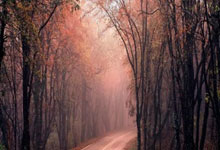 普拉茨：梦想是在马略卡退役，但如果踢得不开心也会考虑离开.