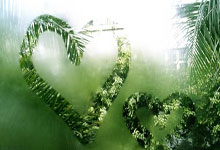 经鉴定灰熊不菜希尔德三分7投2中 得到8分3板&正负值+6.