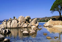 亿万28：魔术6连胜送太阳4连败 吹杨19助老鹰险胜国王.